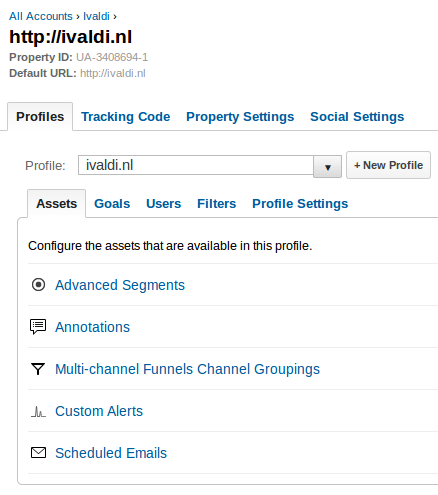 Google Analytics profile tab